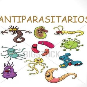 Antiparasitarios