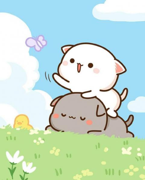 "Feliz San Valentín"