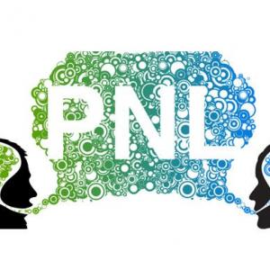 Programa Neuro-Lingüística