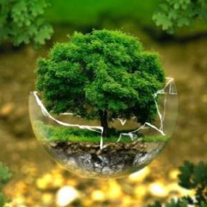 Pérdida de biodiversidad y contaminación visual