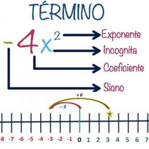 TERMINOS SEMEJANTES