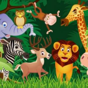 Jungle Animals
