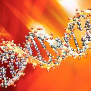 Imagen de portada del videojuego educativo: LA HERENCIA Y LOS GENES, de la temática Biología