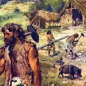 LA PREHISTORIA