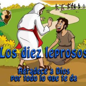 Camino a la gratitud