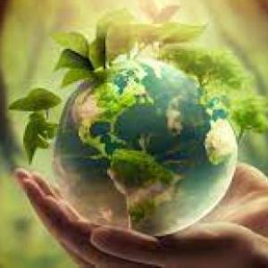 El medio ambiente