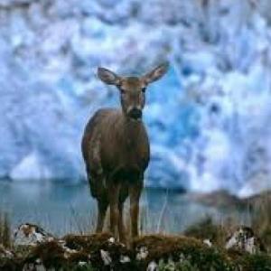 ¿Cuánto conozco de los ambientes?