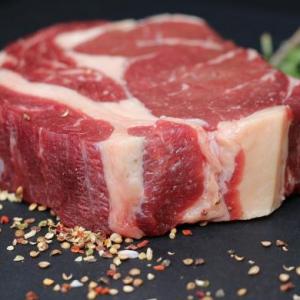 juego de memoria de alimentos de origen animal