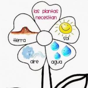 cuidado de las Plantas