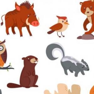Animales del bosque