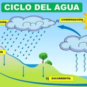 El ciclo del agua