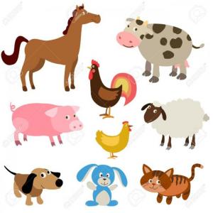 Memotest animales