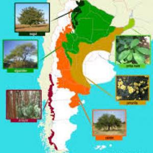 Geografía 5° A economía