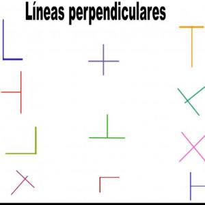 Preguntas de Dibujo