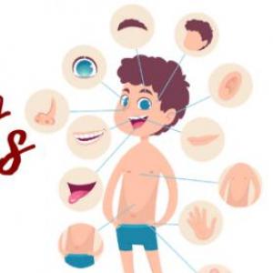 Body Parts