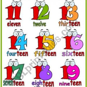 NUMBERS FROM 1 TO 20