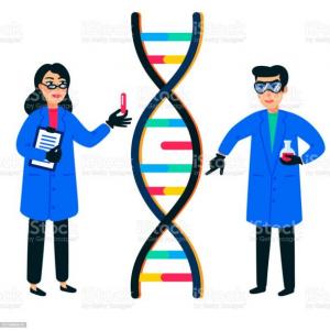 PROYECTO GENOMA Y CLONACIÓN HUMANA