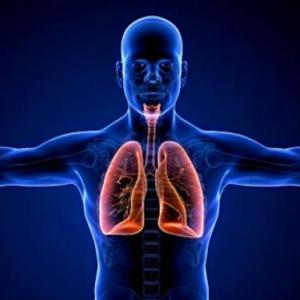 Fisiopatología respiratoria