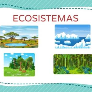Imagen de portada del videojuego educativo: Ecoaprende, de la temática Ciencias