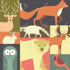ANIMALES VERTEBRADOS