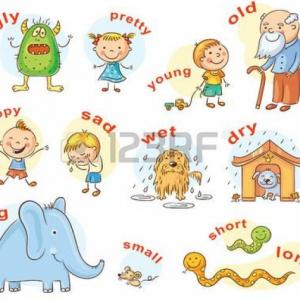 ADJECTIVES
