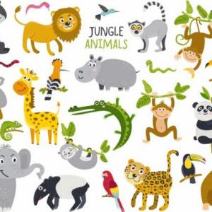 Imagen de portada del videojuego educativo: ANIMALES SALVAJES, de la temática Ciencias