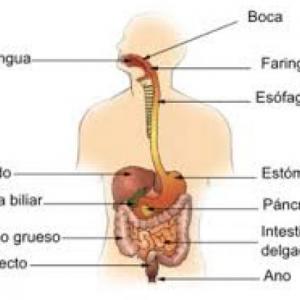 duchazo