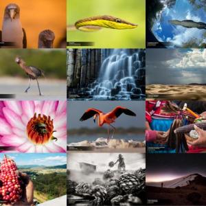 Biodiversidad