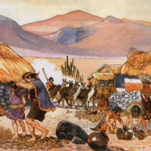 Actividades Económicas del Tahuantinsuyo