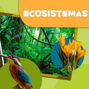 LOS ECOSISTEMAS