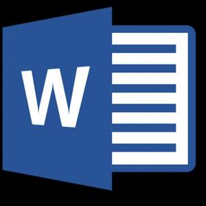Ms word Lucca Carnibella 2°TB