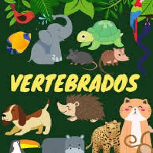 Los animales Vertebrados