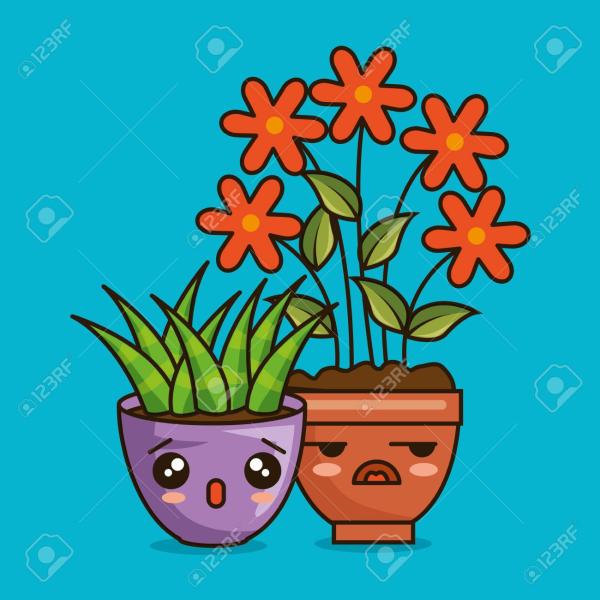 Descubriendo la importancia de las plantas