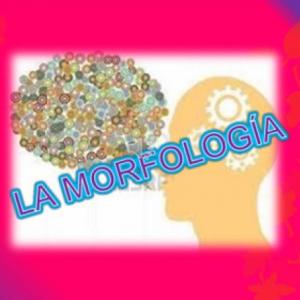 Morfología.