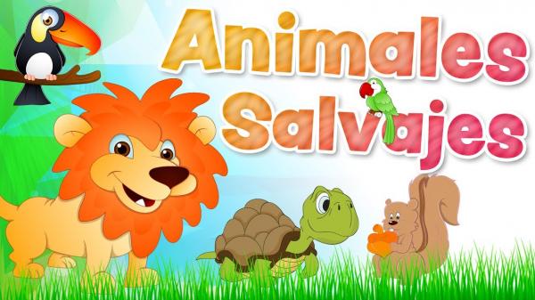 busquemos los animales salvajes