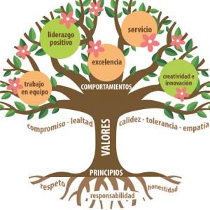 Los principios en la sociedad