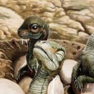 Mnemotecnia