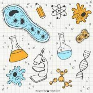 Entendiendo Biología
