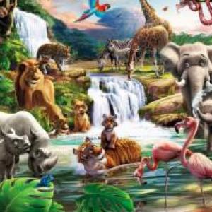 MEMO-ANIMALES