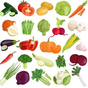 DESCUBRO LOS VEGETALES EN INGLÉS