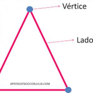 CONTANDO VERTICES