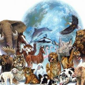 Los animales