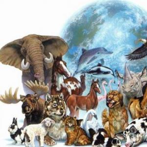 Los animales