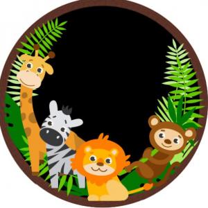 Animales y sus lugares