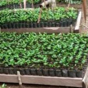 Identifica una Unidad de Producción Agropecuaría