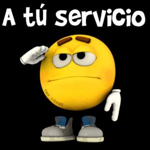 Preguntas Tics