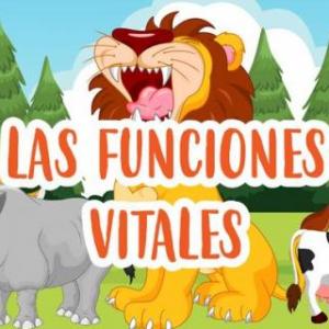 FUNCIONES VITALES