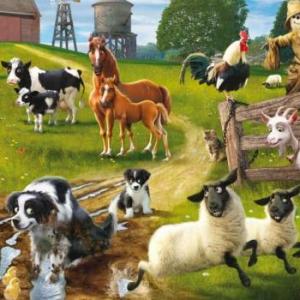 WHAT ARE THE ANIMALS DOING?