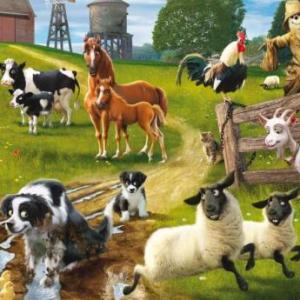 WHAT ARE THE ANIMALS DOING?