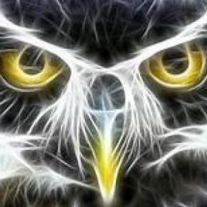 SECRETO ANIMAL